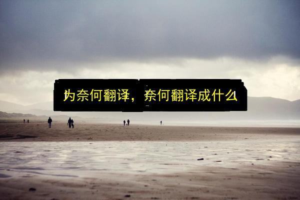 为奈何翻译,奈何翻译成什么插图 文章配图