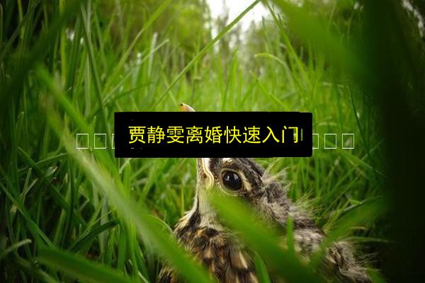 文章配图