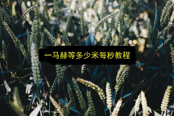 文章配图