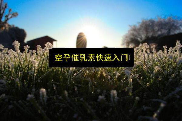 文章配图