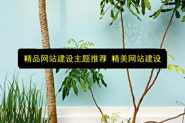 文章配图