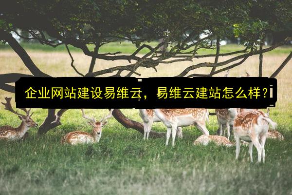 企业网站建设易维云,易维云建站怎么样?插图 文章配图