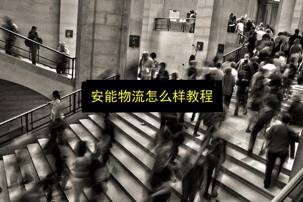 安能物流怎么样教程插图 文章配图