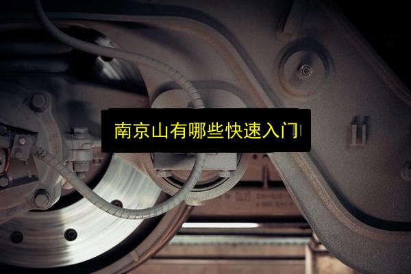 南京山有哪些快速入门插图 文章配图