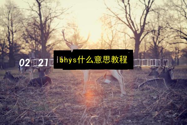 文章配图