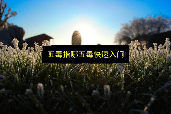文章配图
