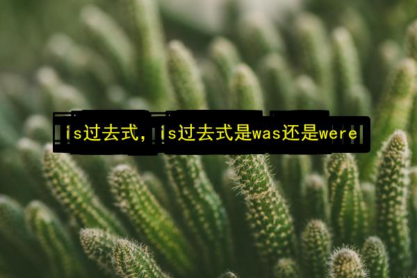 is过去式,is过去式是was还是were插图 文章配图