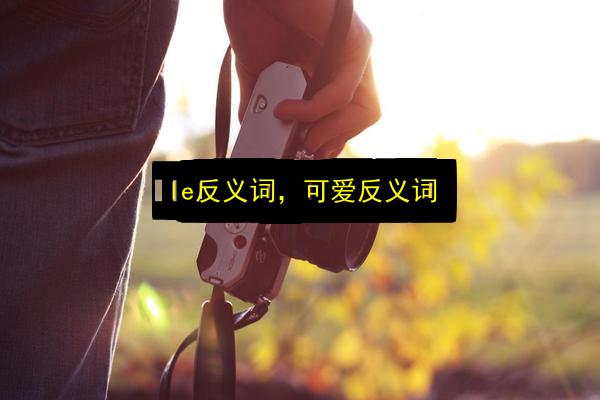 文章配图