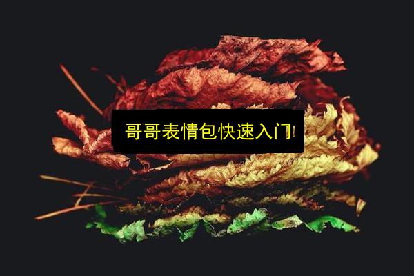 文章配图