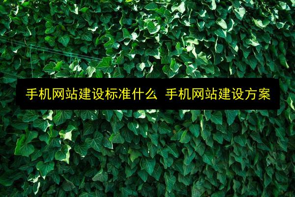 文章配图