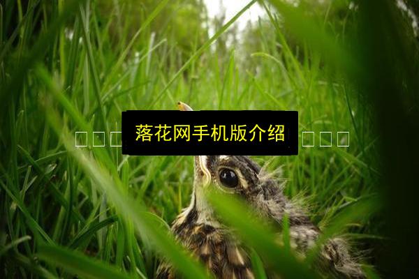 文章配图