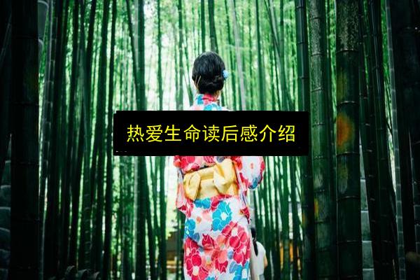 文章配图