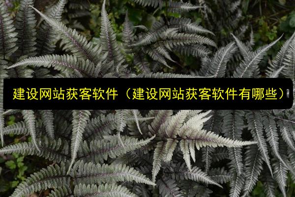 文章配图