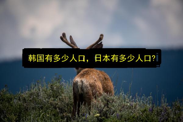 韩国有多少人口,日本有多少人口?插图 文章配图