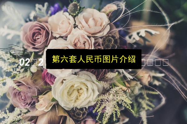 第六套人民币图片介绍插图 文章配图