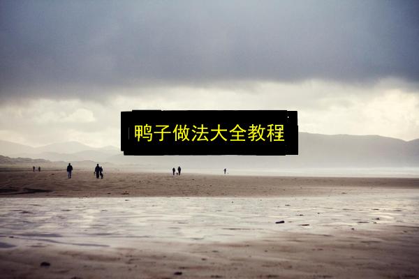 鸭子做法大全教程插图 文章配图