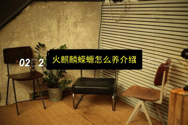 文章配图