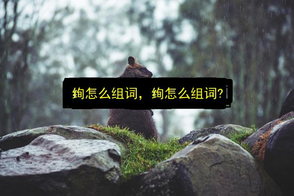 绚怎么组词,绚怎么组词?插图 文章配图