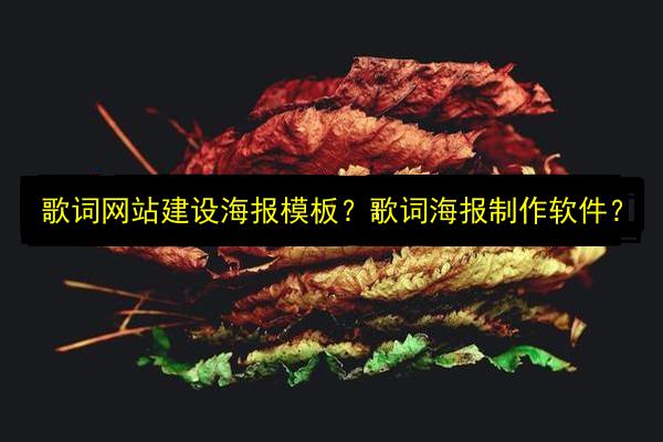 文章配图
