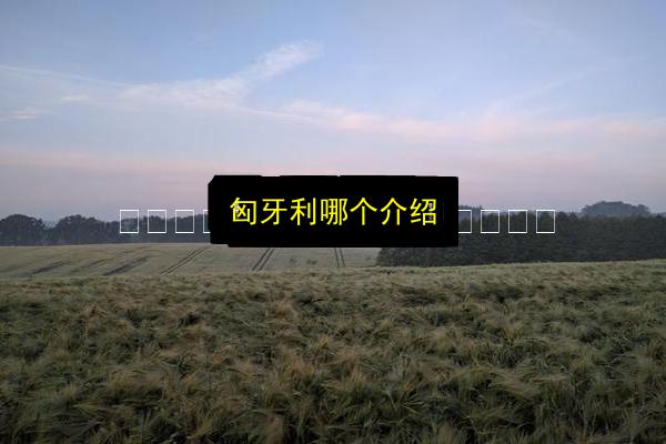 匈牙利哪个介绍插图 文章配图