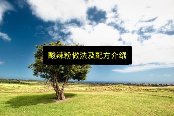 酸辣粉做法及配方介绍插图 文章配图