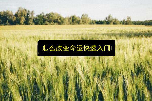 文章配图