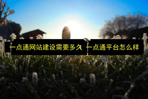 文章配图