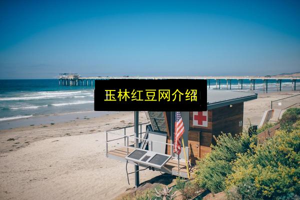 玉林红豆网介绍插图 文章配图