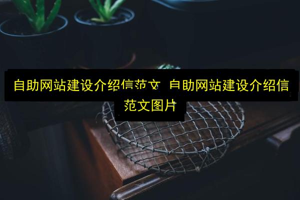 文章配图