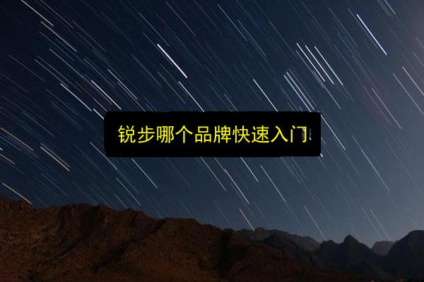 锐步哪个品牌快速入门插图 文章配图