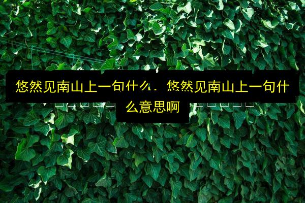 文章配图
