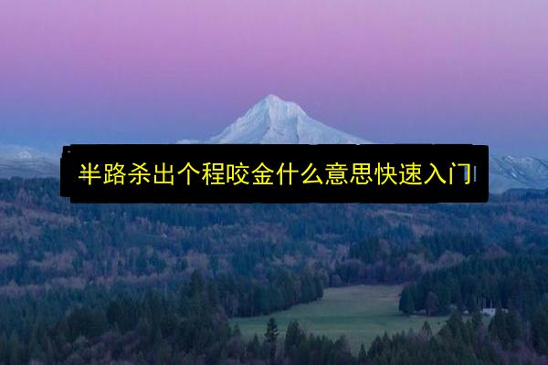 文章配图