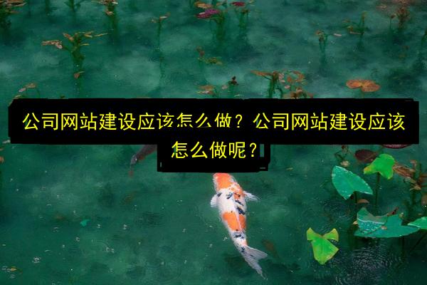 文章配图