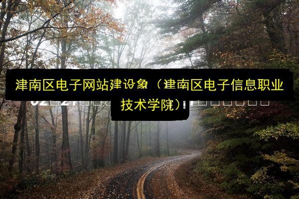 津南区电子网站建设象(津南区电子信息职业技术学院)插图 文章配图
