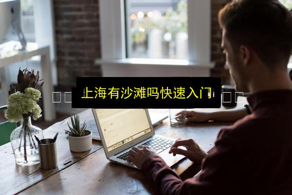 上海有沙滩吗快速入门插图 文章配图