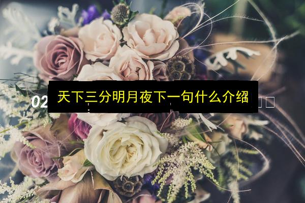 文章配图