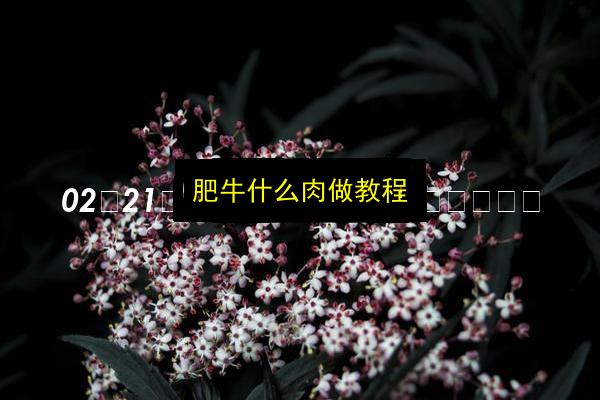 文章配图