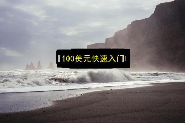 100美元快速入门插图 文章配图
