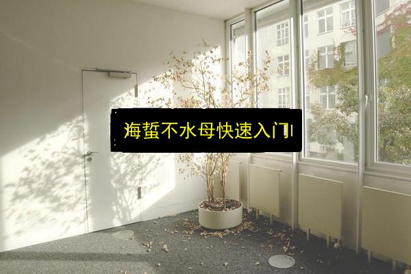 海蜇不水母快速入门插图 文章配图