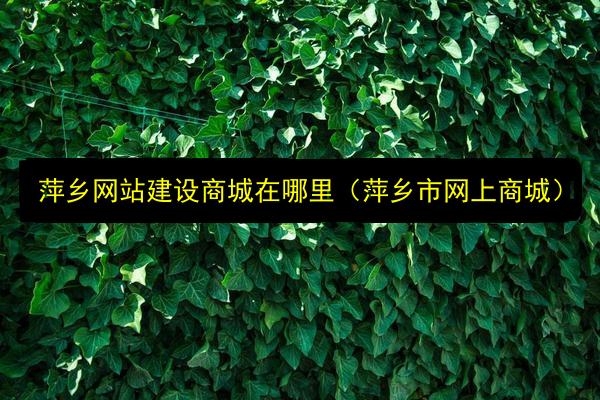 萍乡网站建设商城在哪里(萍乡市网上商城)插图 文章配图