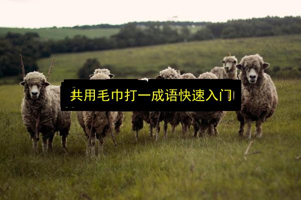 文章配图