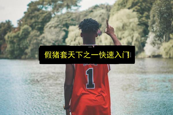 文章配图