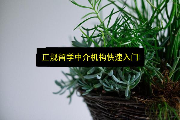 正规留学中介机构快速入门插图 文章配图