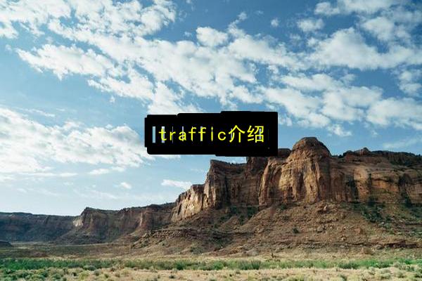 traffic介绍插图 文章配图