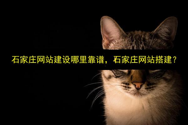 石家庄网站建设哪里靠谱,石家庄网站搭建?插图 文章配图