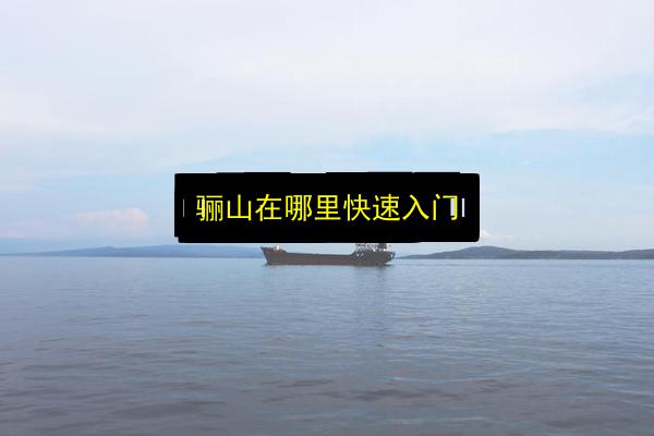 文章配图