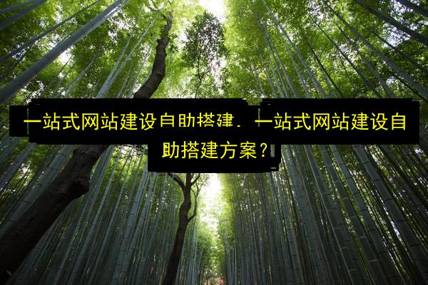文章配图