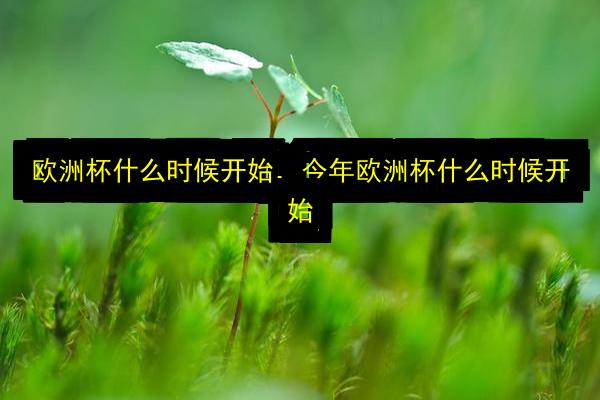 欧洲杯什么时候开始,今年欧洲杯什么时候开始插图 文章配图