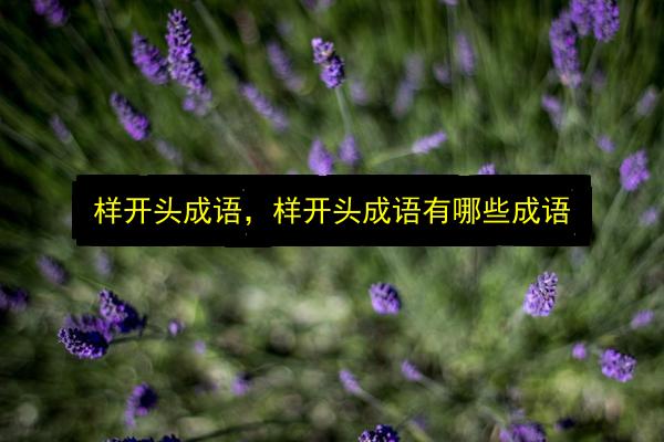 文章配图