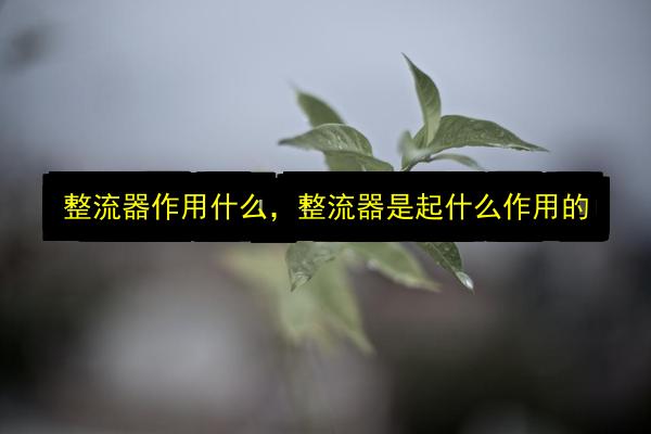 整流器作用什么,整流器是起什么作用的插图 文章配图